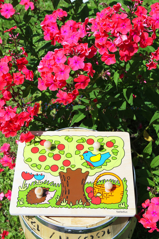 Пазлы-вкладыши от Beleduc!