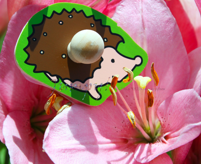 Пазлы-вкладыши от Beleduc!