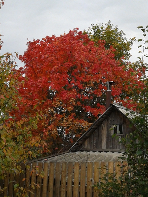 Последние краски лета.