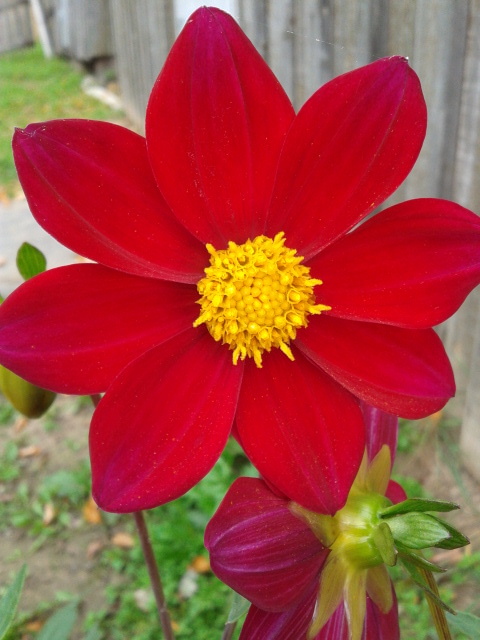 Последние краски лета.