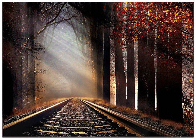 Флешмоб с картинками 10 слов