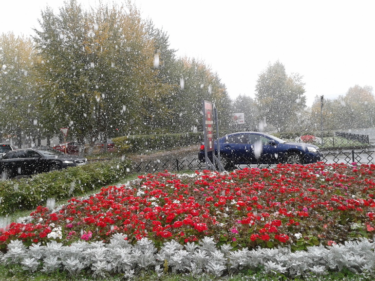 Чудо природы