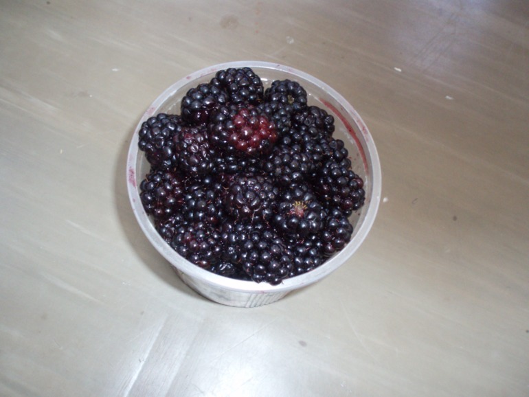 a6a887ee2ded000e938eff041f6c848f.jpg