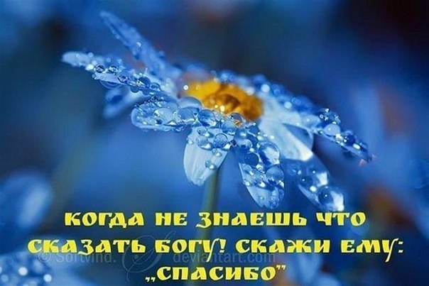 b9708ad13b6e6fea73d60d4653074b2f.jpg