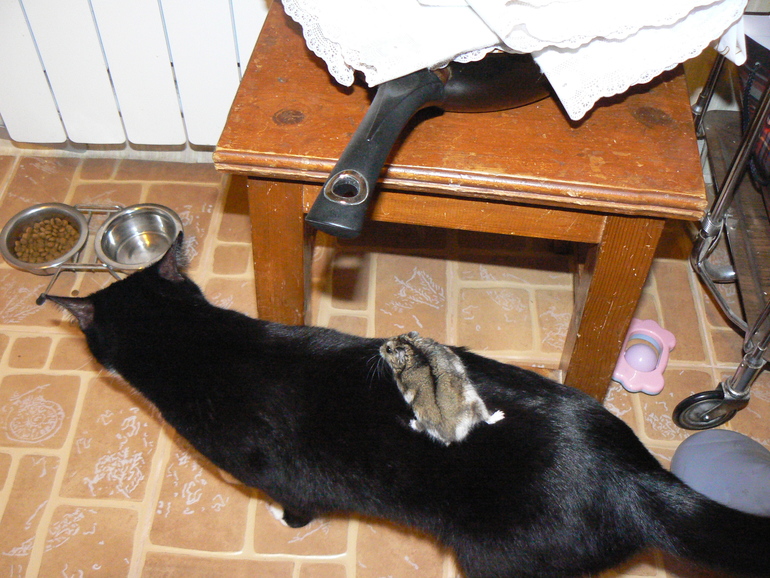 Расставательно-занимательно-хвастливое.