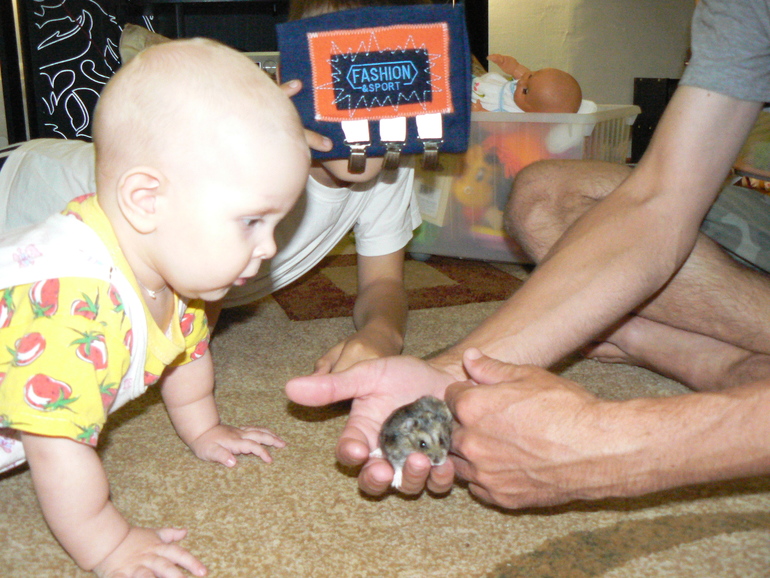 Расставательно-занимательно-хвастливое.