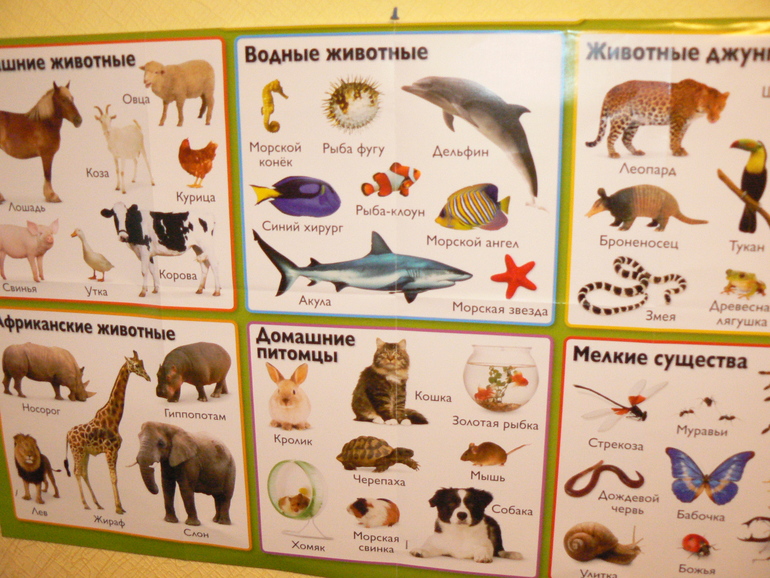 Расставательно-занимательно-хвастливое.