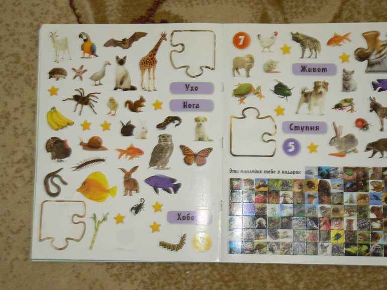 Расставательно-занимательно-хвастливое.