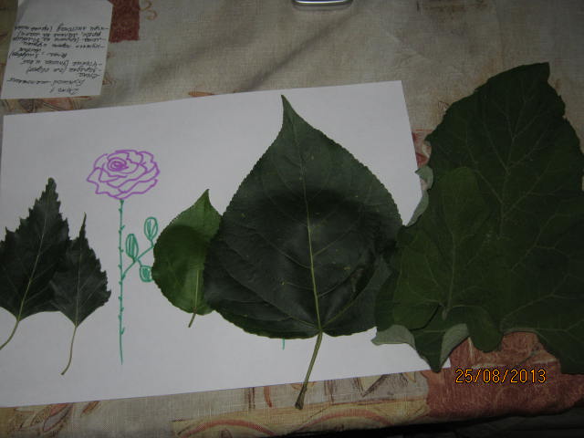 1bb4fbf595fa557e76a5dbab98730e7c.jpg