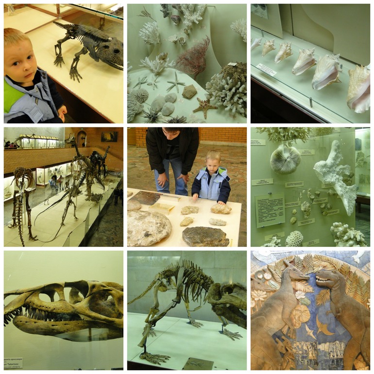 Палеонтологический музей