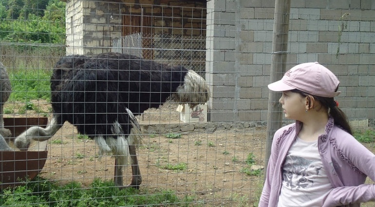 Анечка и Шуана!!! еще малявки.