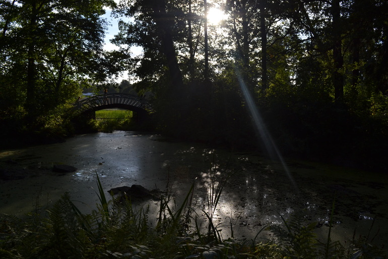 bc8b050b336e82eabe683f0397f04c21.jpg