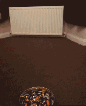 d39011ded7a9c5779c65150948554e8f.gif