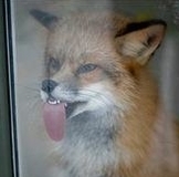 С Днем Рождения дорогие девочки!!!!