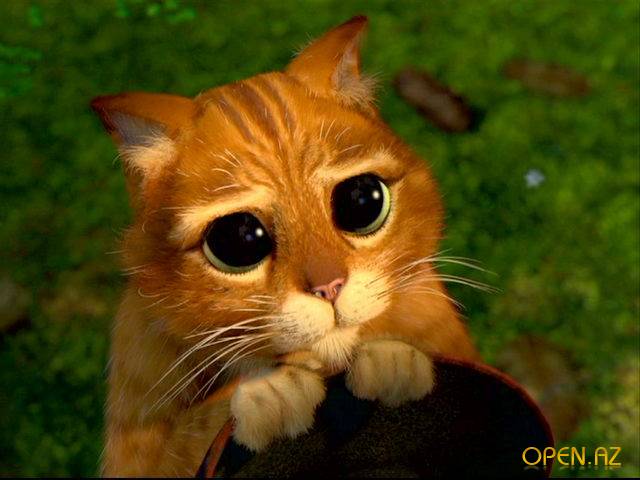 Хнык хнык...