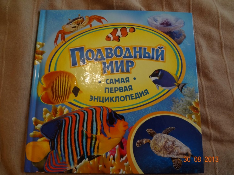 84f5de7aec7eba0742b1b7a691b690bf.jpg